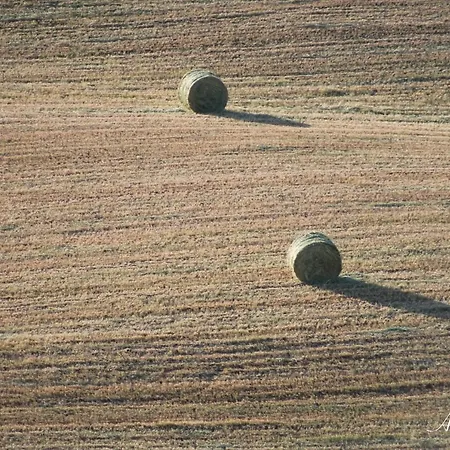 Soleluna Apartamento *